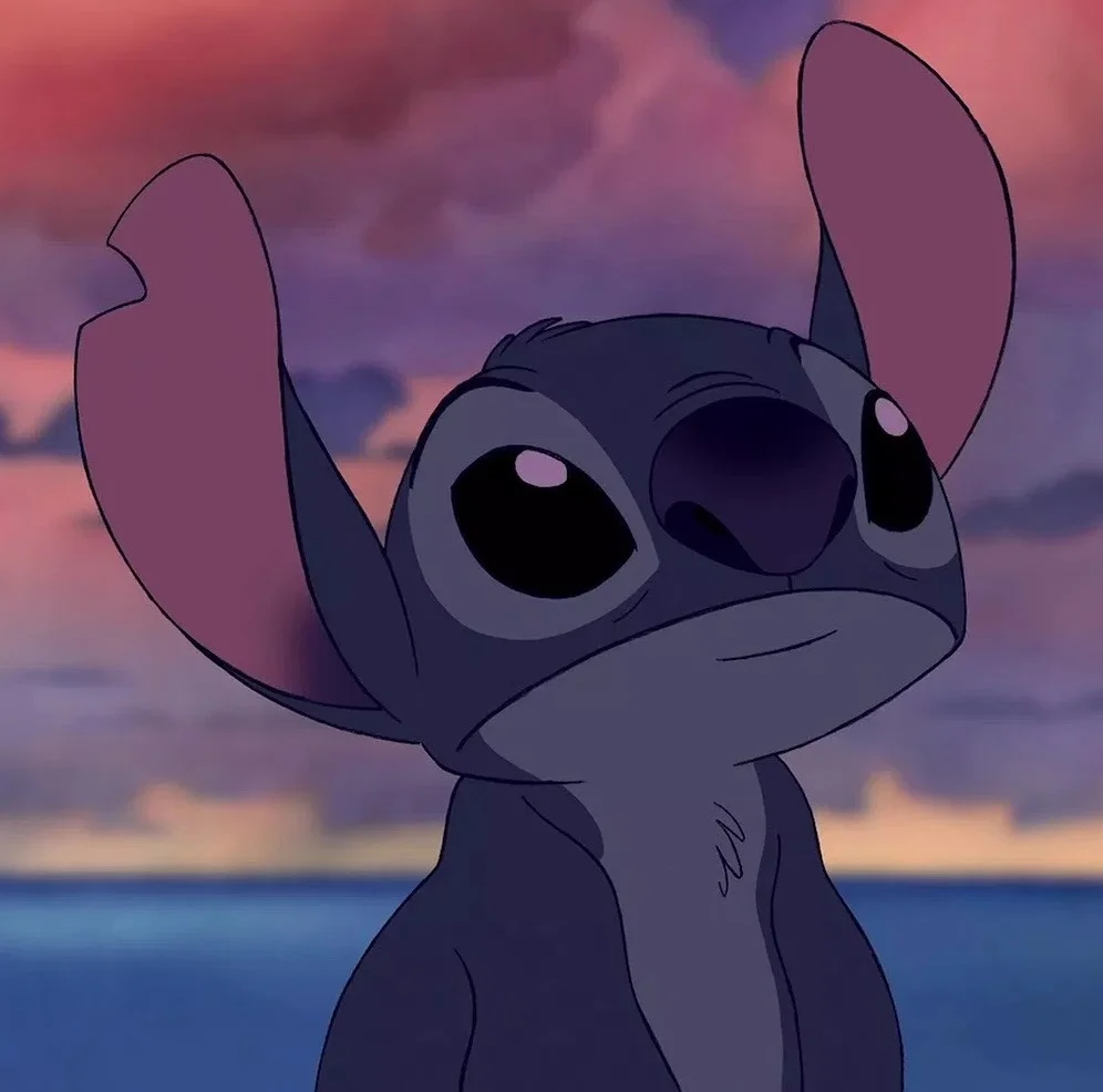 Stitch fan made