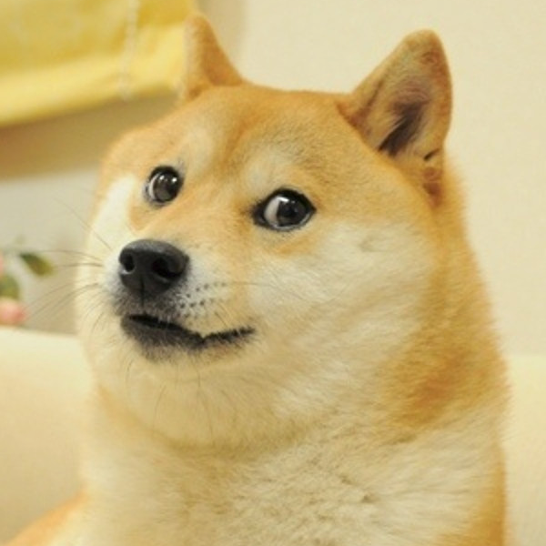 The real doge New Updated V2