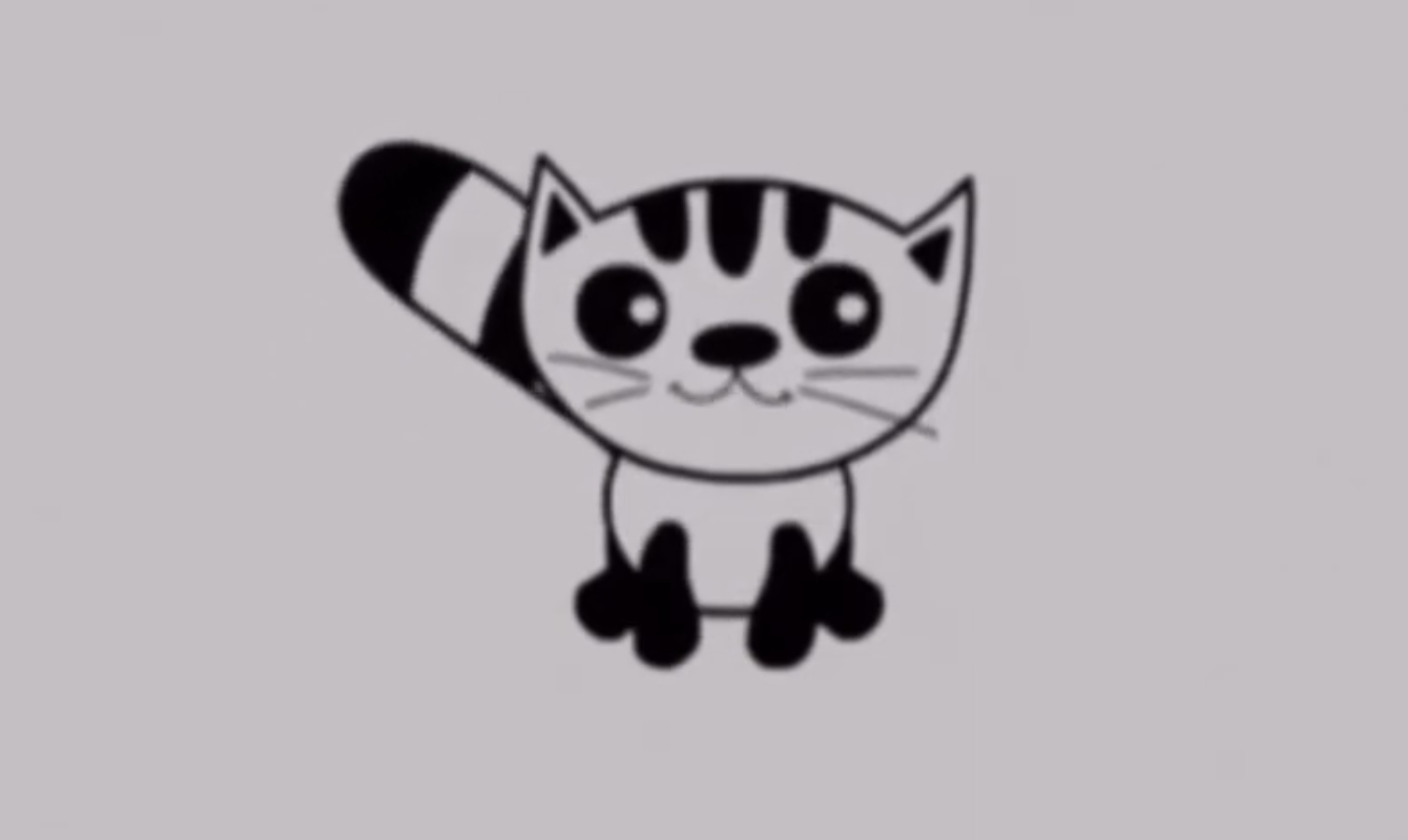 Black and white cat 2
