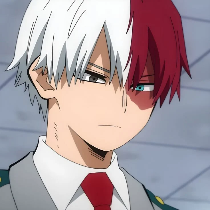 Shoto todoroki español latino