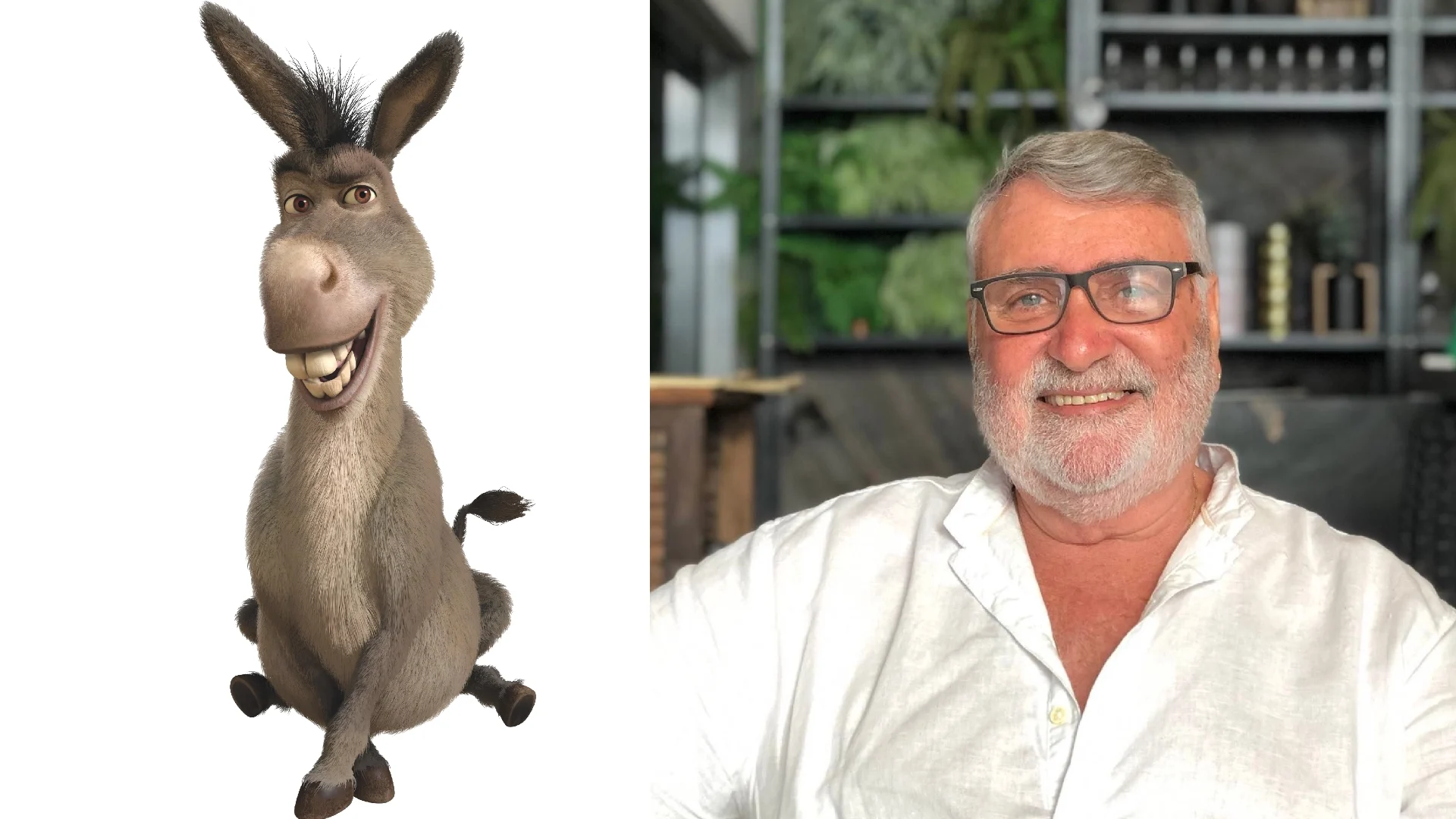 Burro - Mário Jorge Andrade PT-BR 