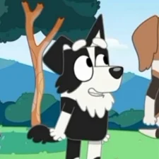 Mackenzie Border Collie (Español latino)