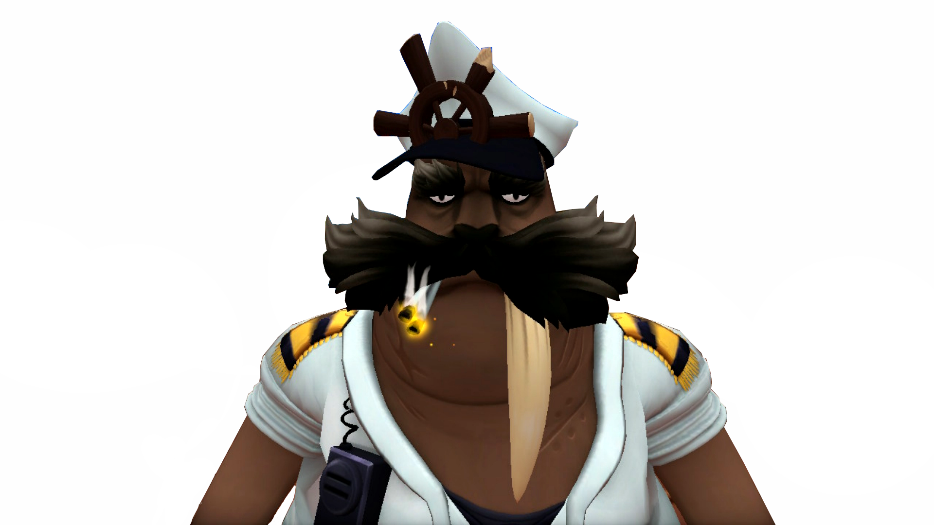 Captain Walrus 