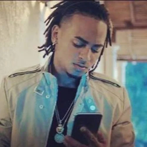 Ozuna 2017 softsing