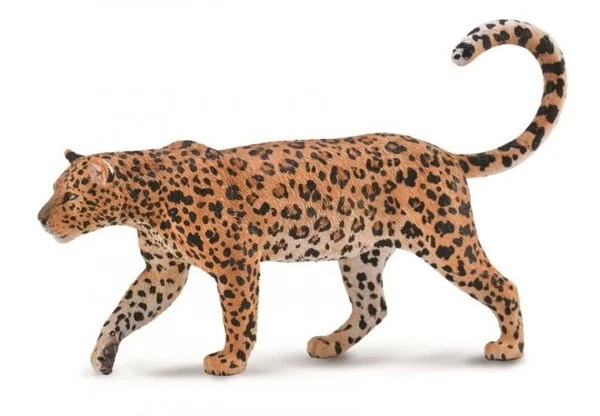 Mr Sanam The African Leopard Rus