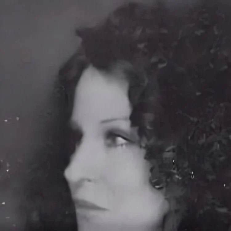 Bette Midler (I Sold My Heart To The Junkman Single)
