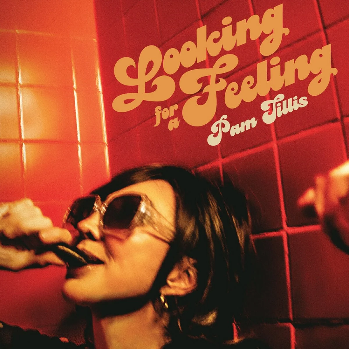 Pam Tillis (Looking For A Feeling Era)
