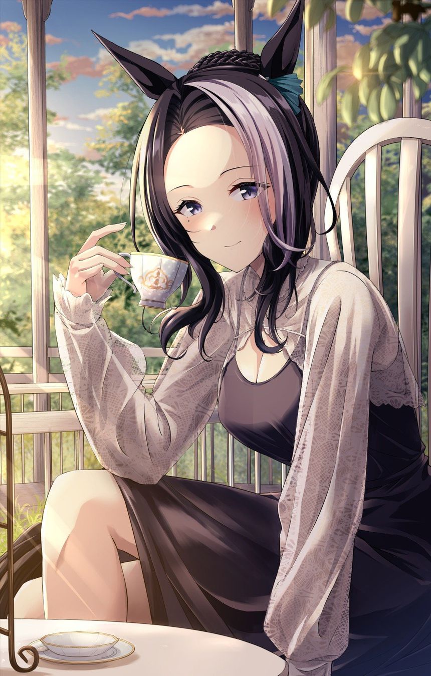 Mejiro Ramonu(Uma musume)
