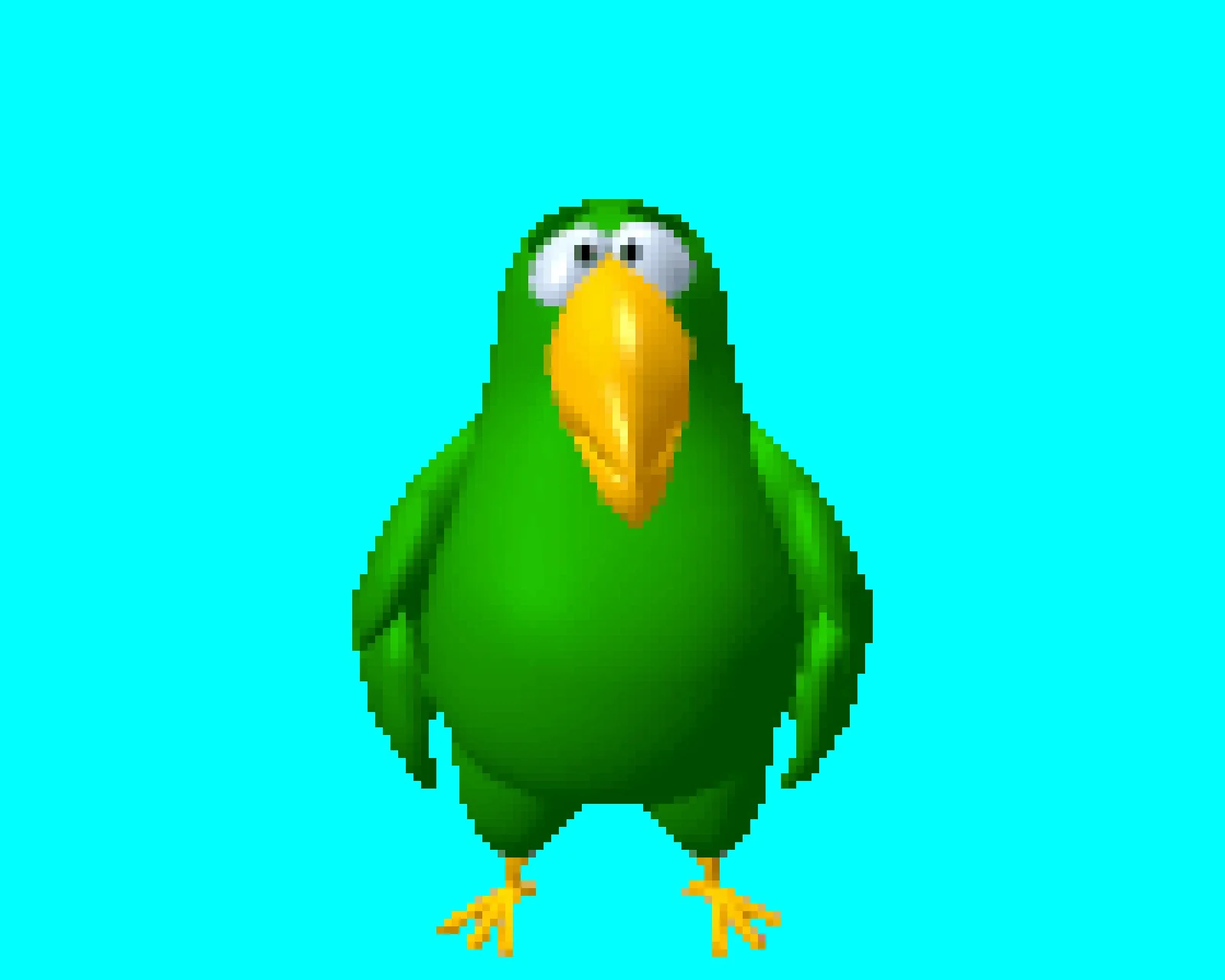 Peedy the Parrot