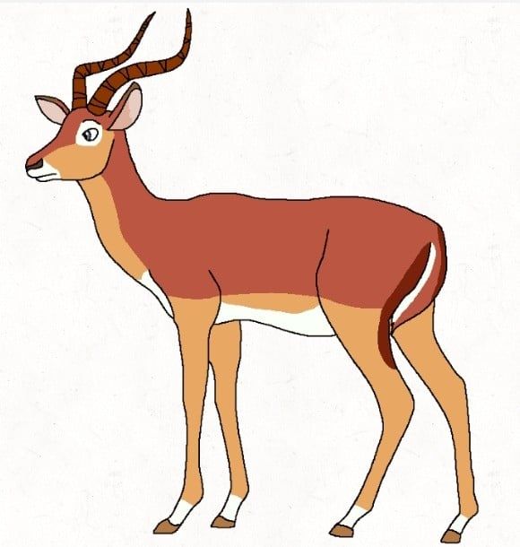 natural albertovich The Impala Rus
