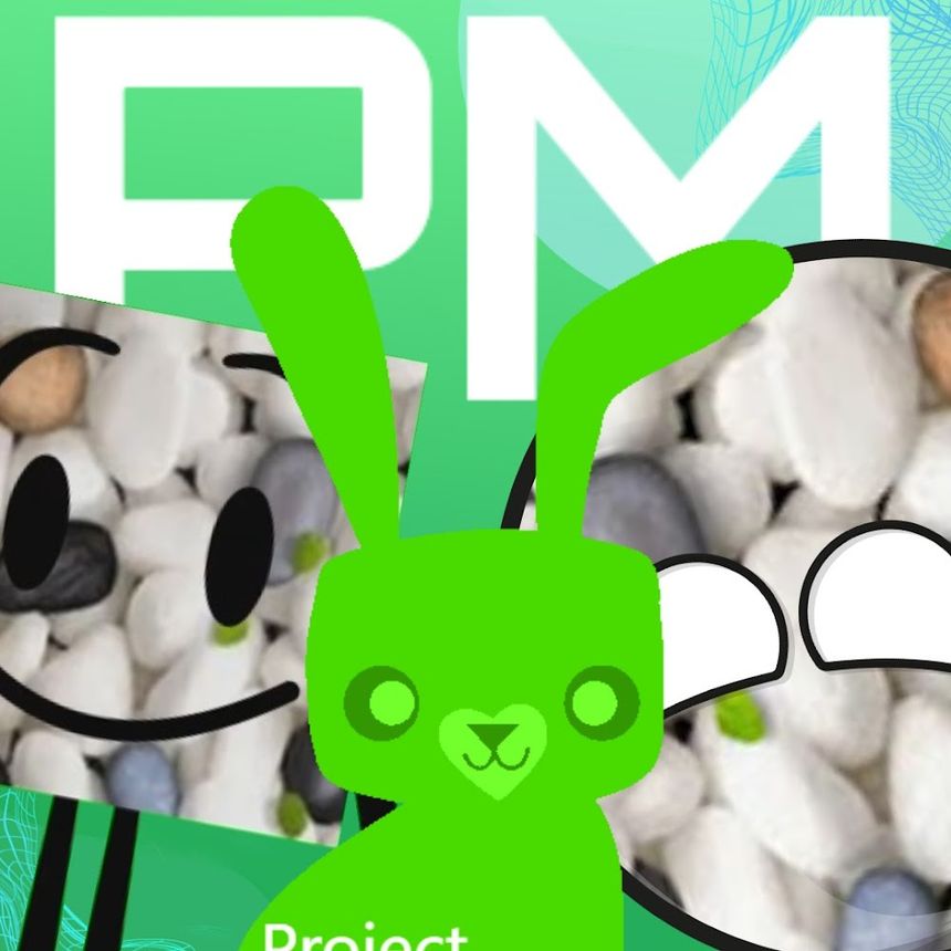  Project Manager