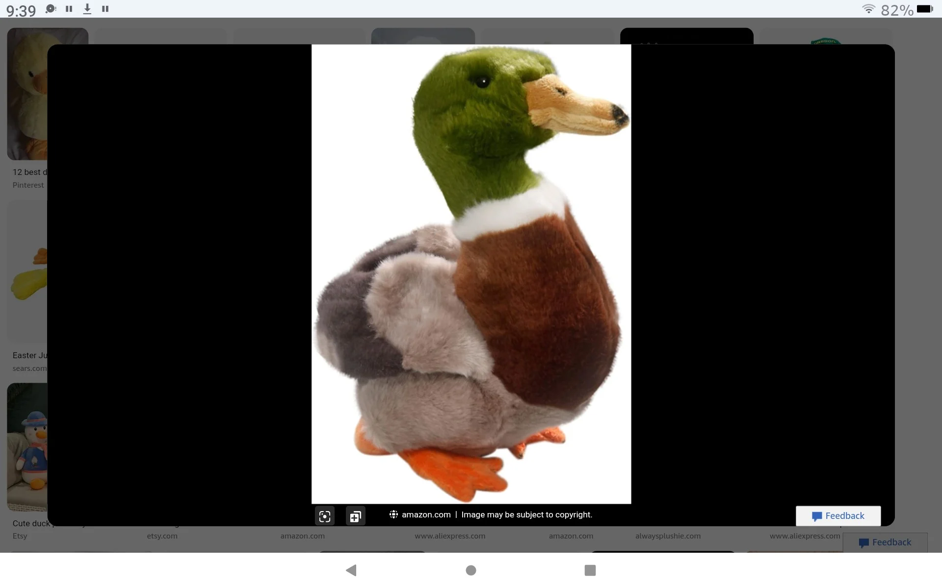 Duckys Brother (AquaticZaq1)
