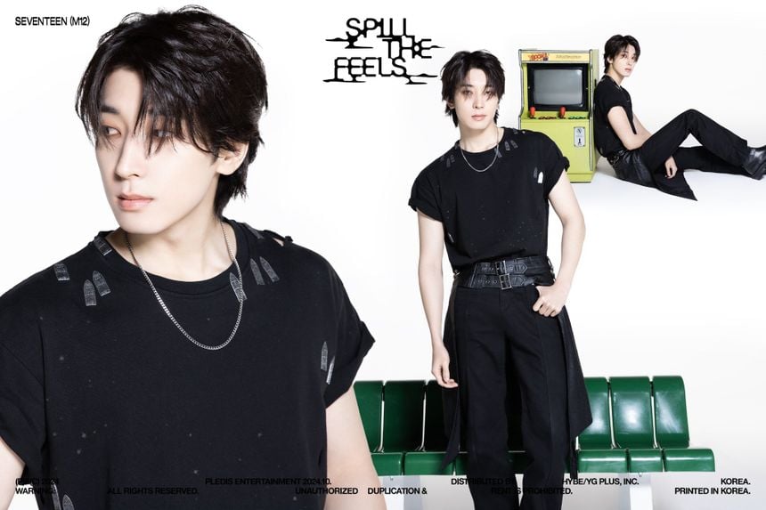Wonwoo (Low Vocals) Seventeen