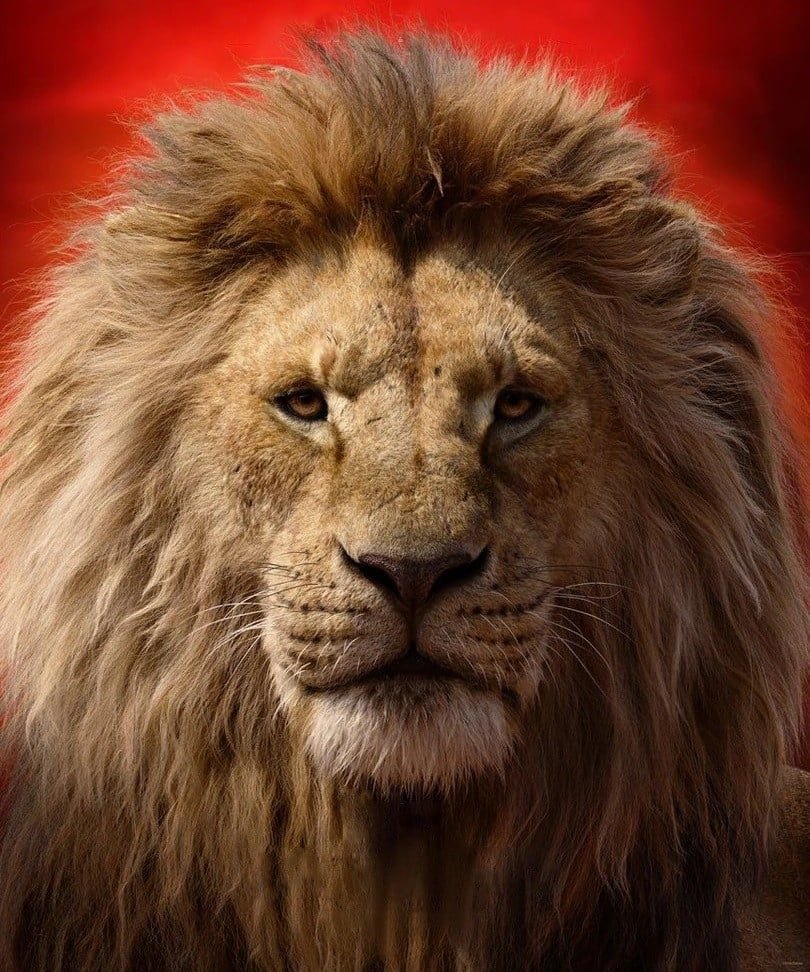 Mufasa (James Earl Jones) [FIXED]