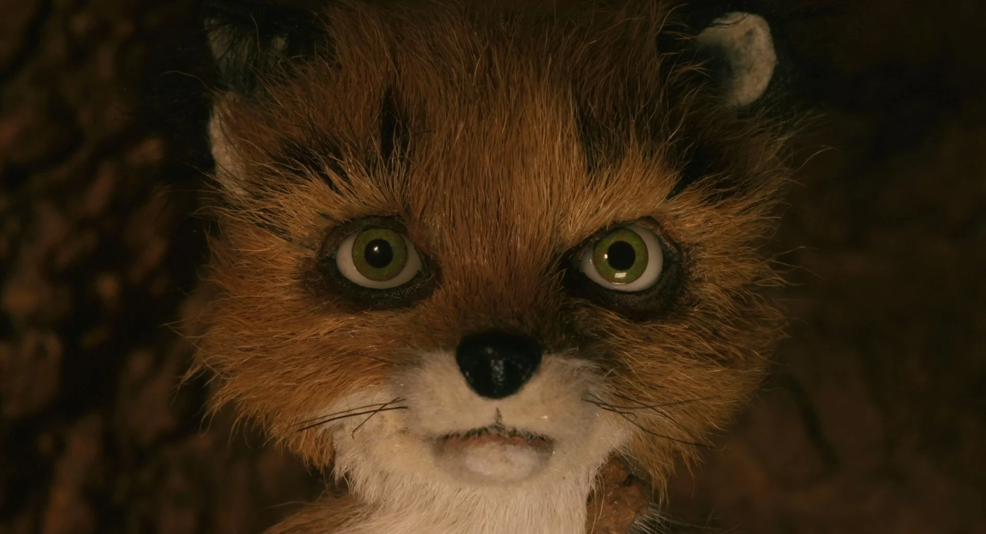 Ashton "Ash" Fox [Fantastic Mr.Fox (2008)]