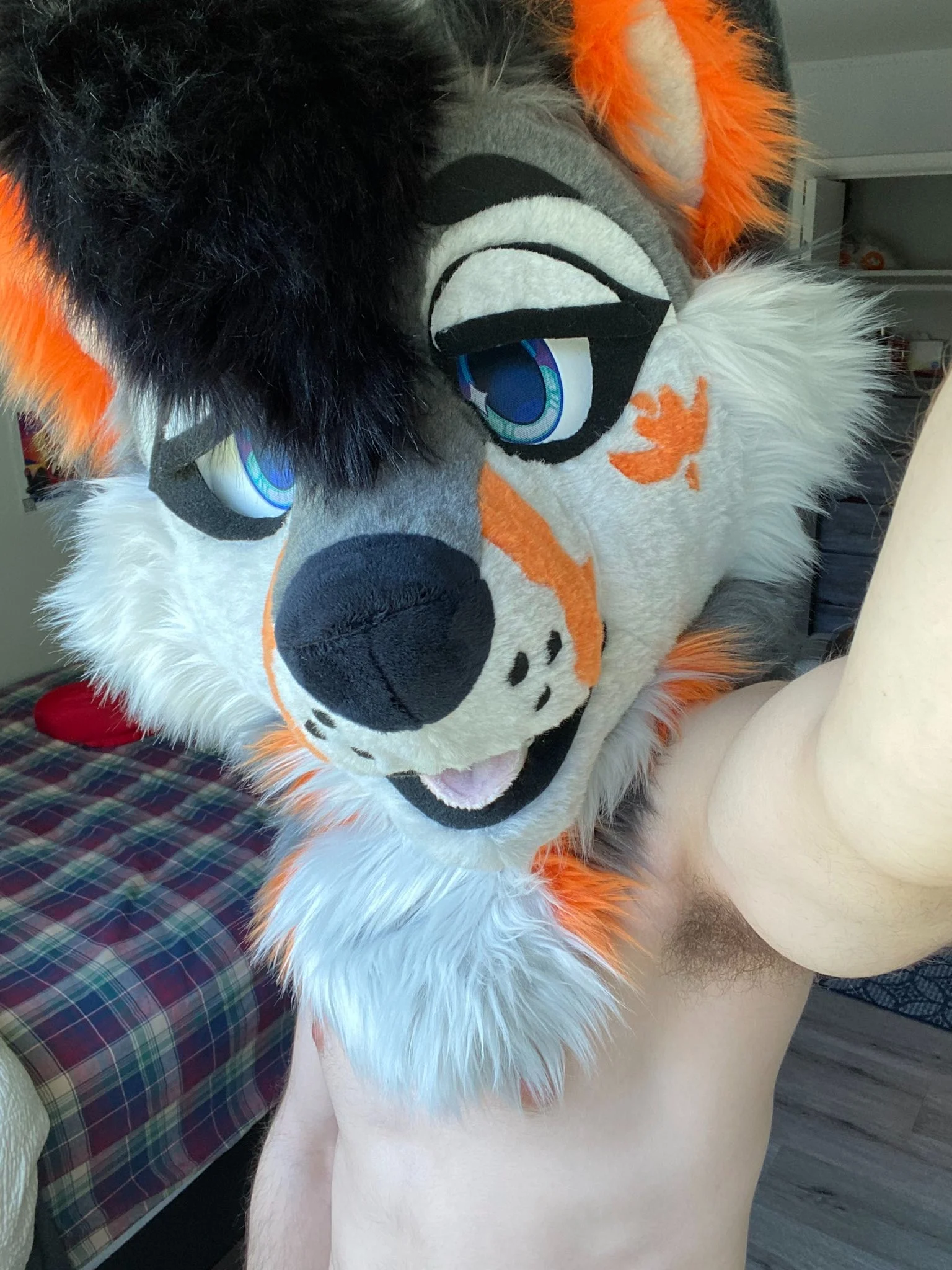 Meowfurshot