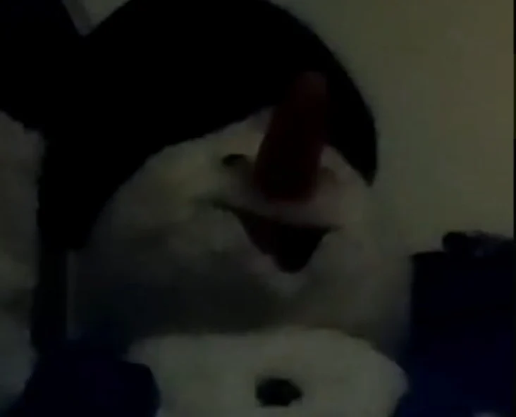 Spinning Snowflake Snowman 2 song