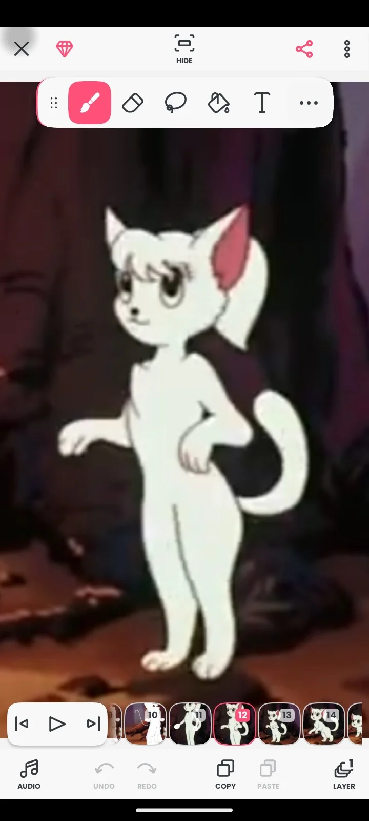 Zamba