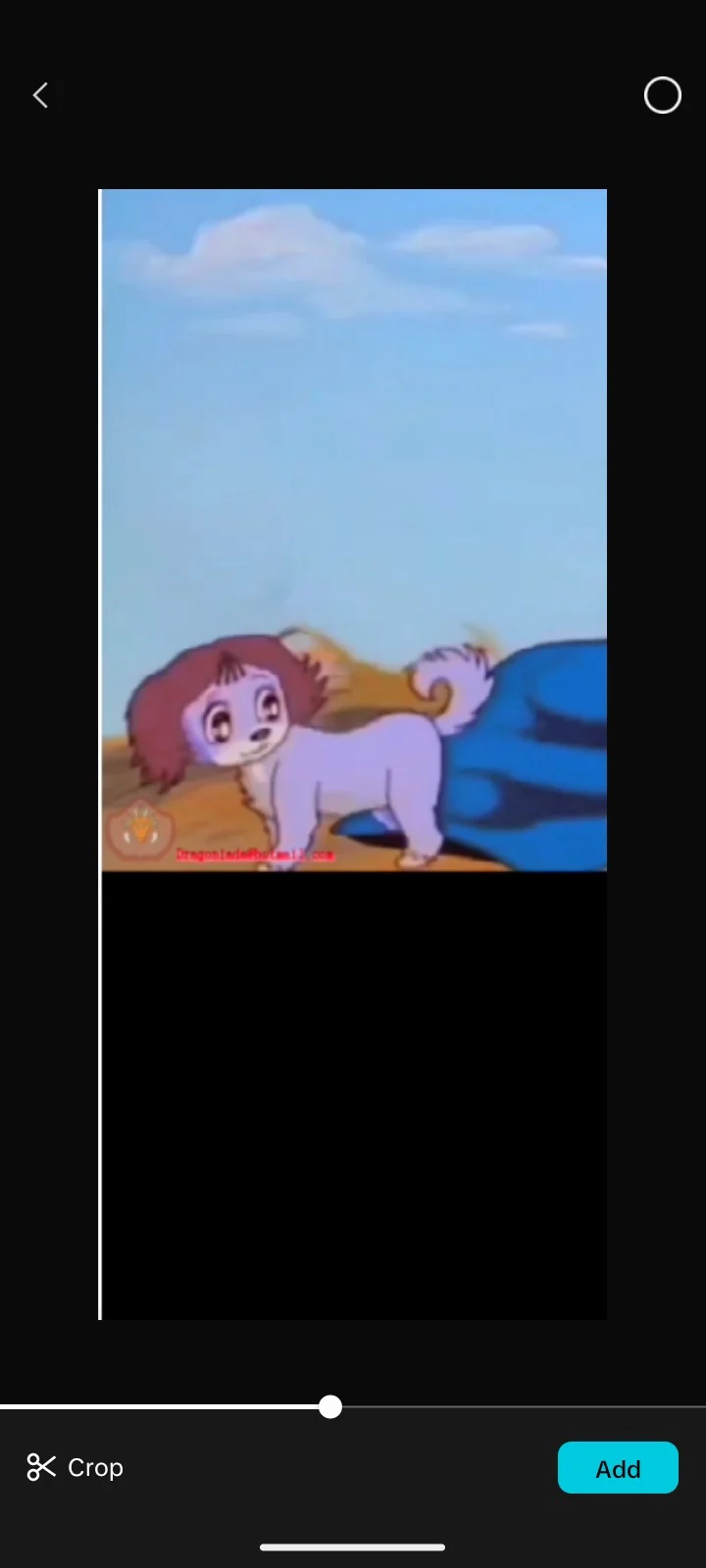 Zamba dog