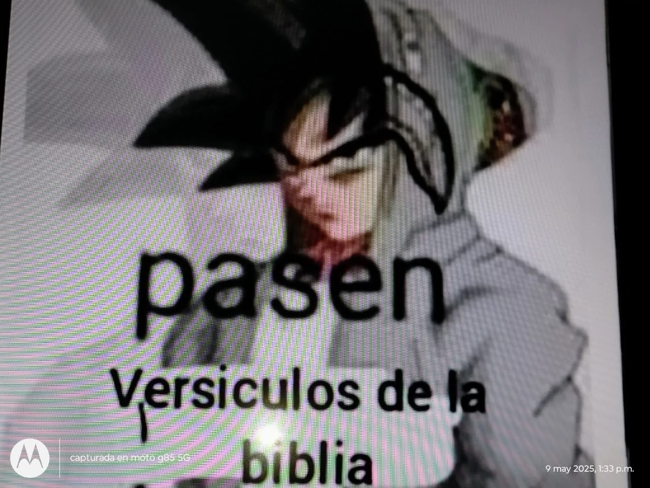 joseluis prueba