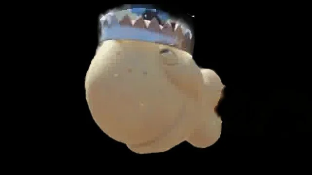King Neptune (Goldfish Crackers)
