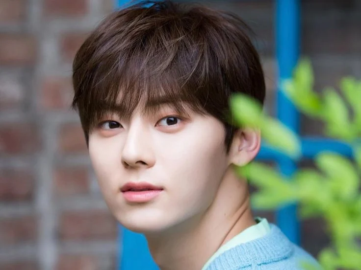 Hwan Minhyun