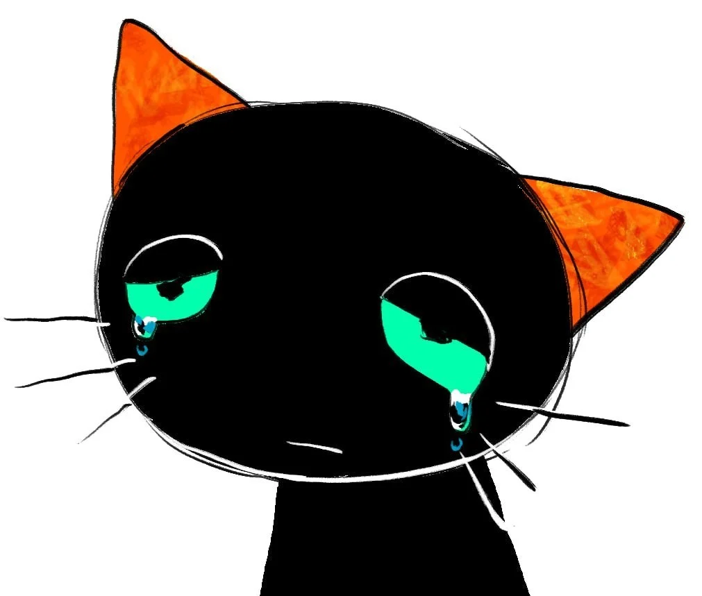 Kobayashi（Teach the cat）