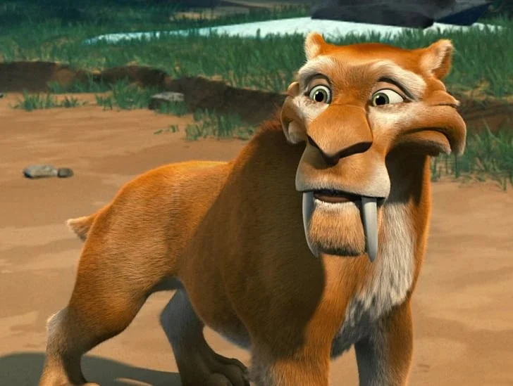 Diego