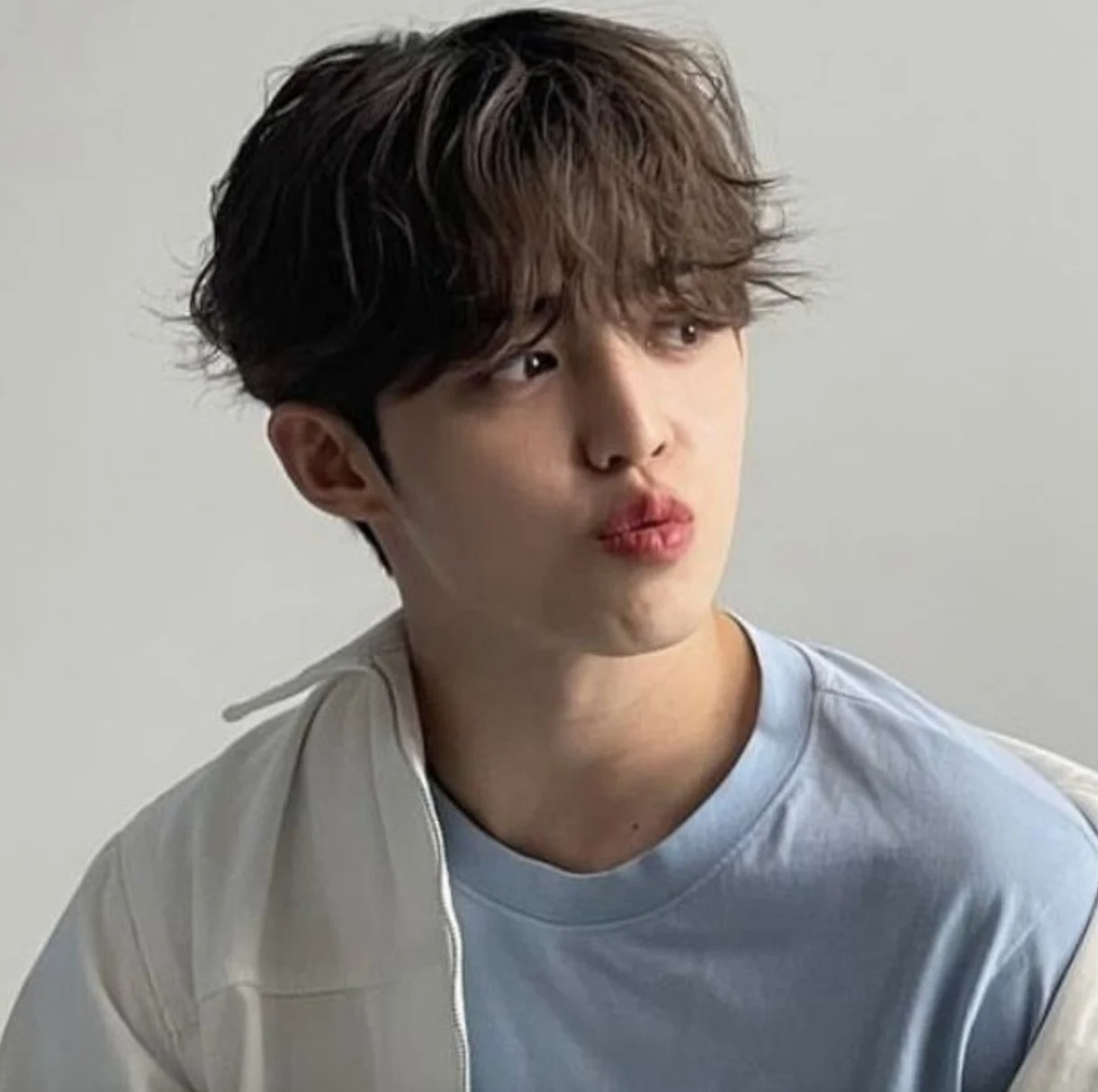 S.Coups (SINGING)