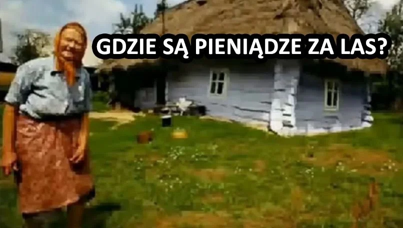 Stara baba (Stachu)