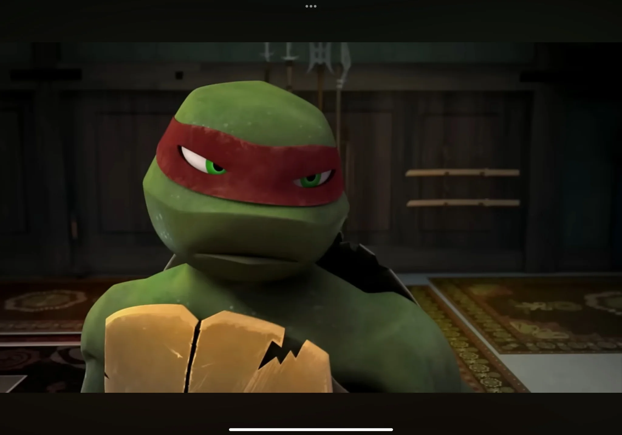 Raphael (TMNT 2012) (Sean Astin)