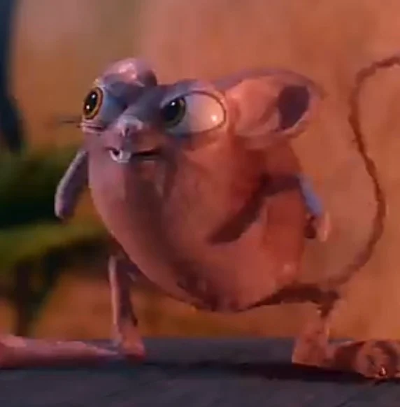 Jerboa Maluco PT BR