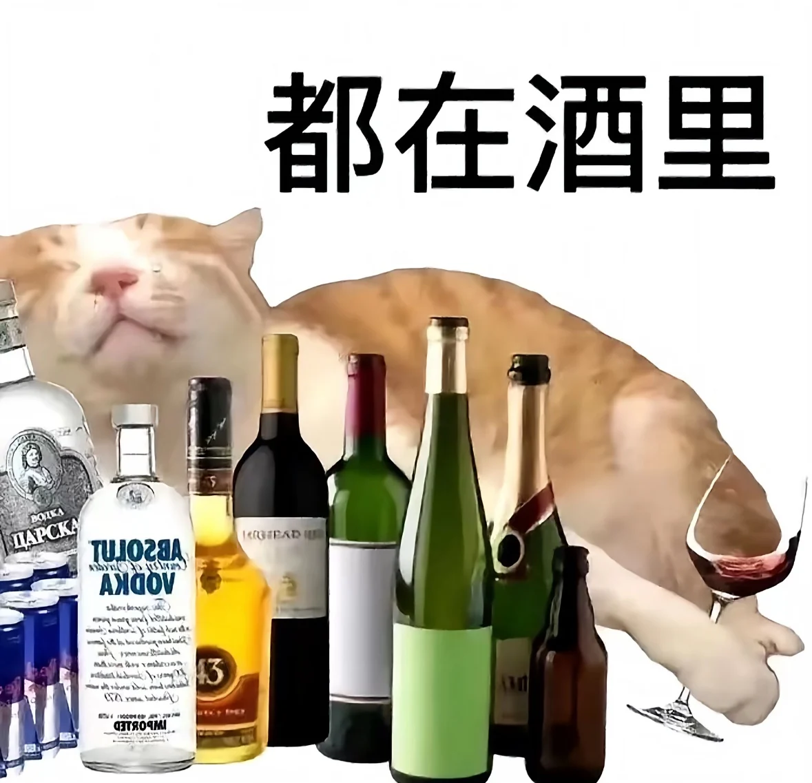 yuan缘