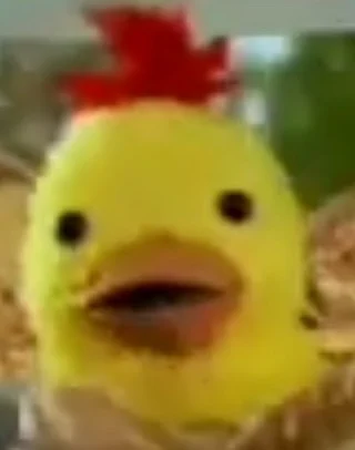 Jesse (Einstein Pals)