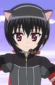 Noir Vinocacao (Dog Days)