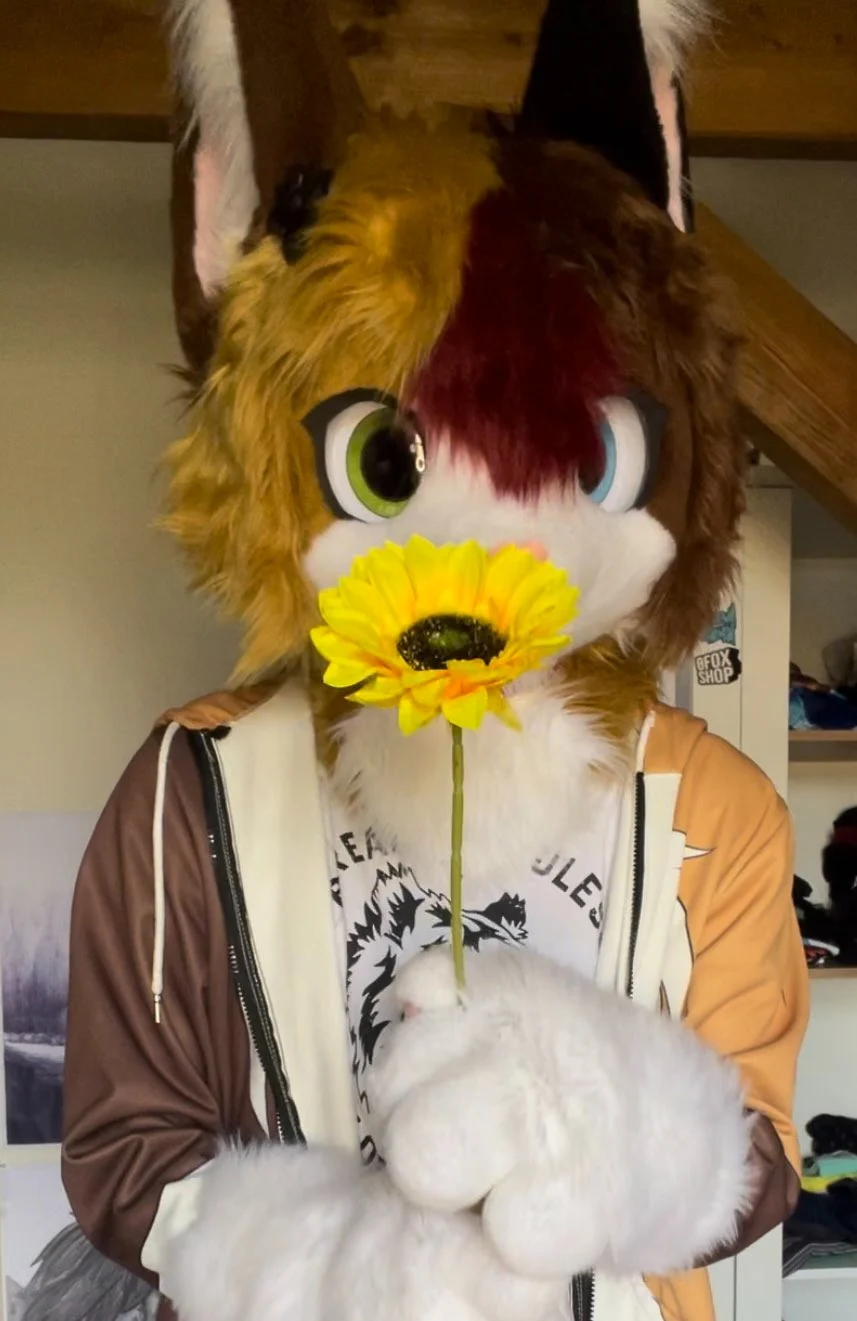 Patch the Kemono Cat