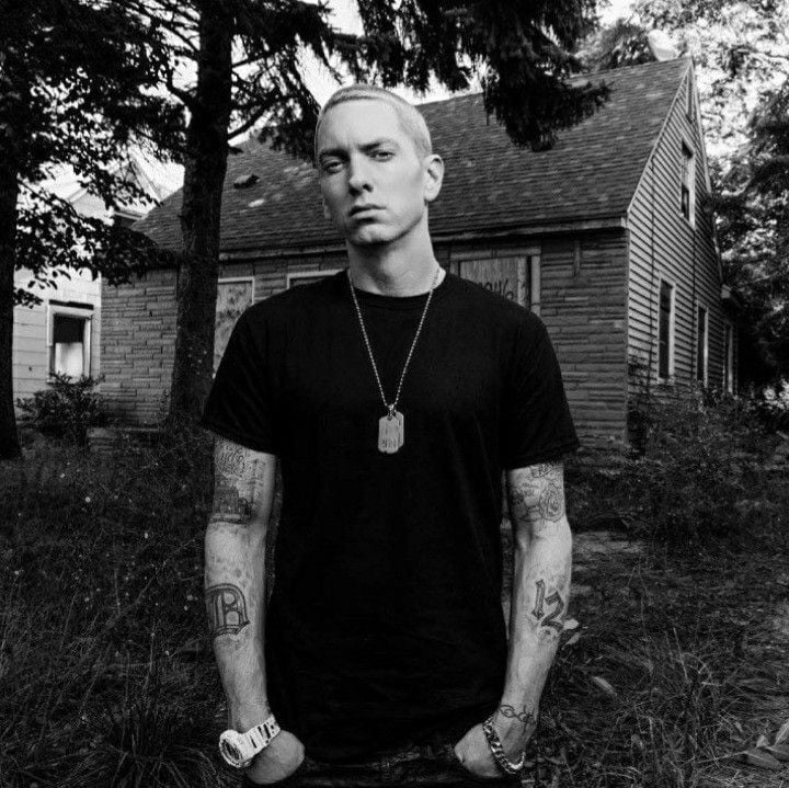 Eminem (Marshall Mathers LP2 - 2013)