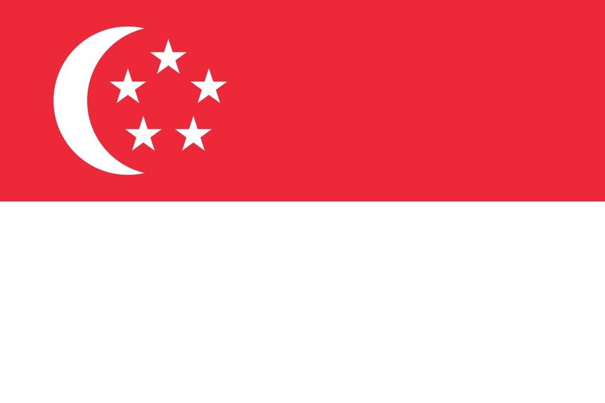 random singaporean voice