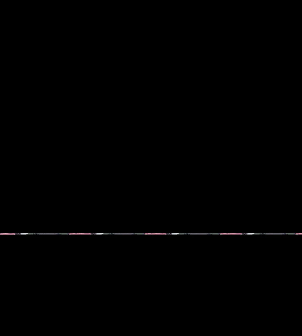 KaGadoCompleto_e5_s6000