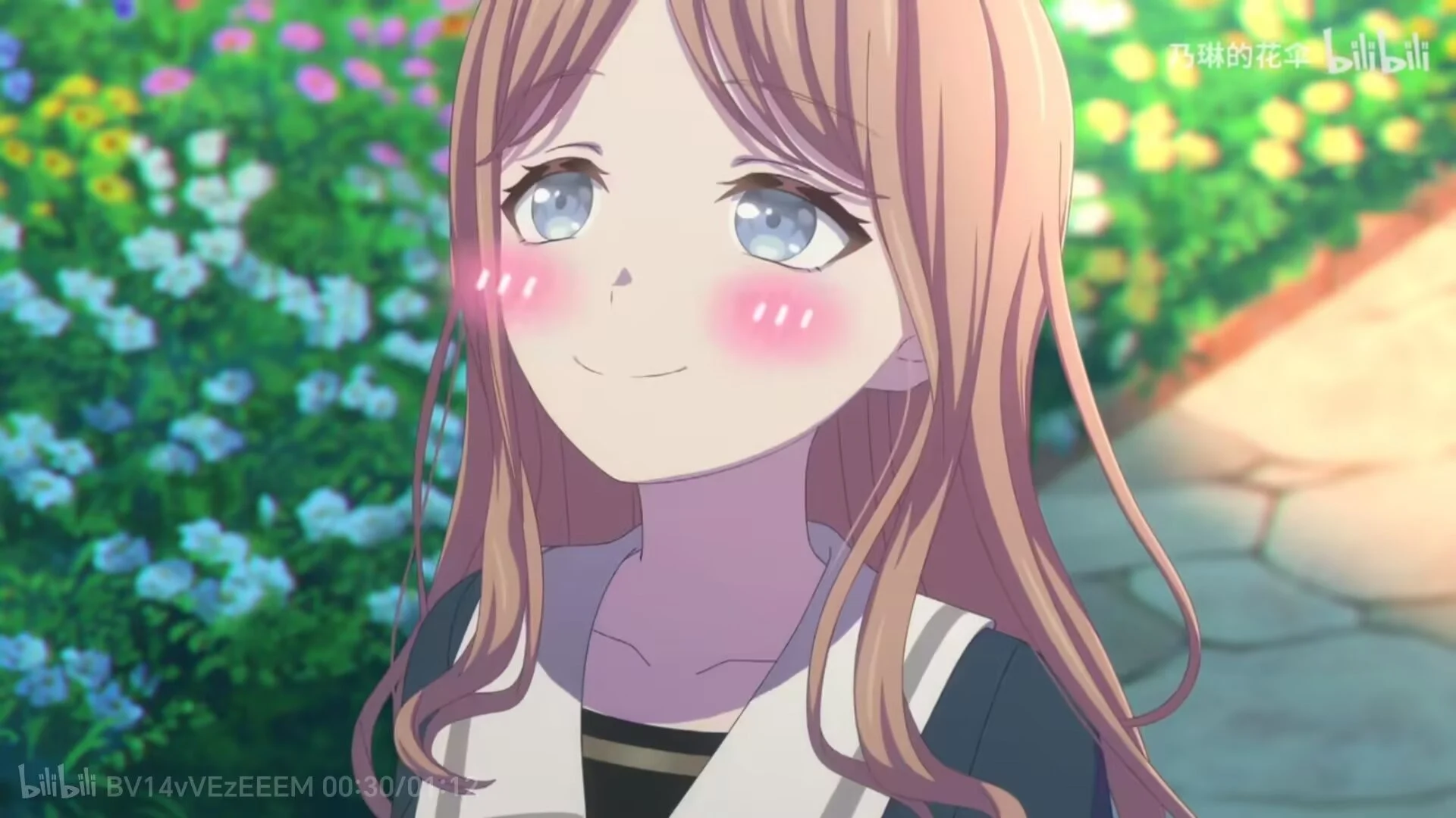 soyo account