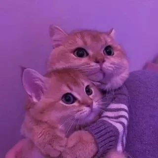 ErickAndLia