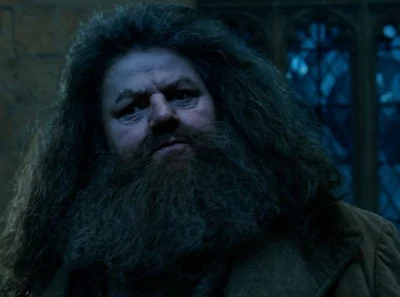 Hagrid (Harry Potter CoS, Goblet of Fire, Half Blood Prince, etc)