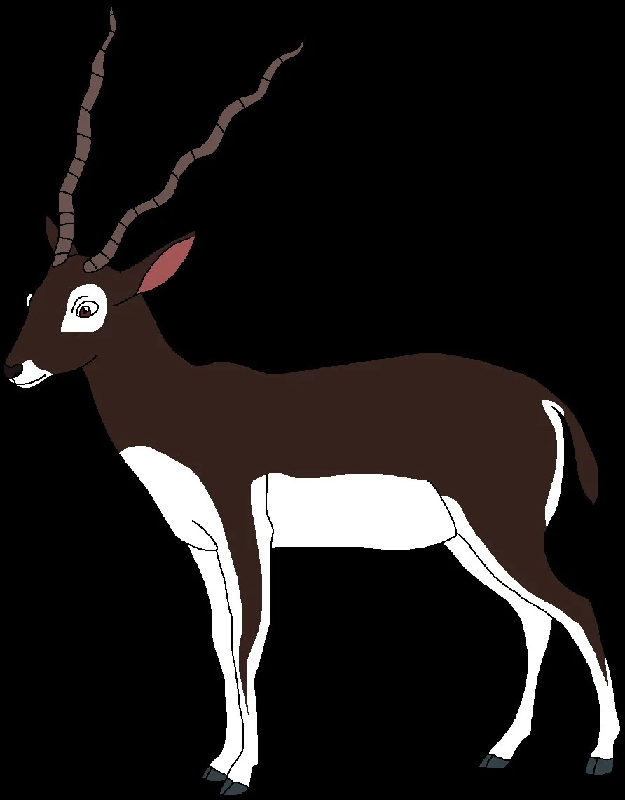Samon The BlackBuck Rus