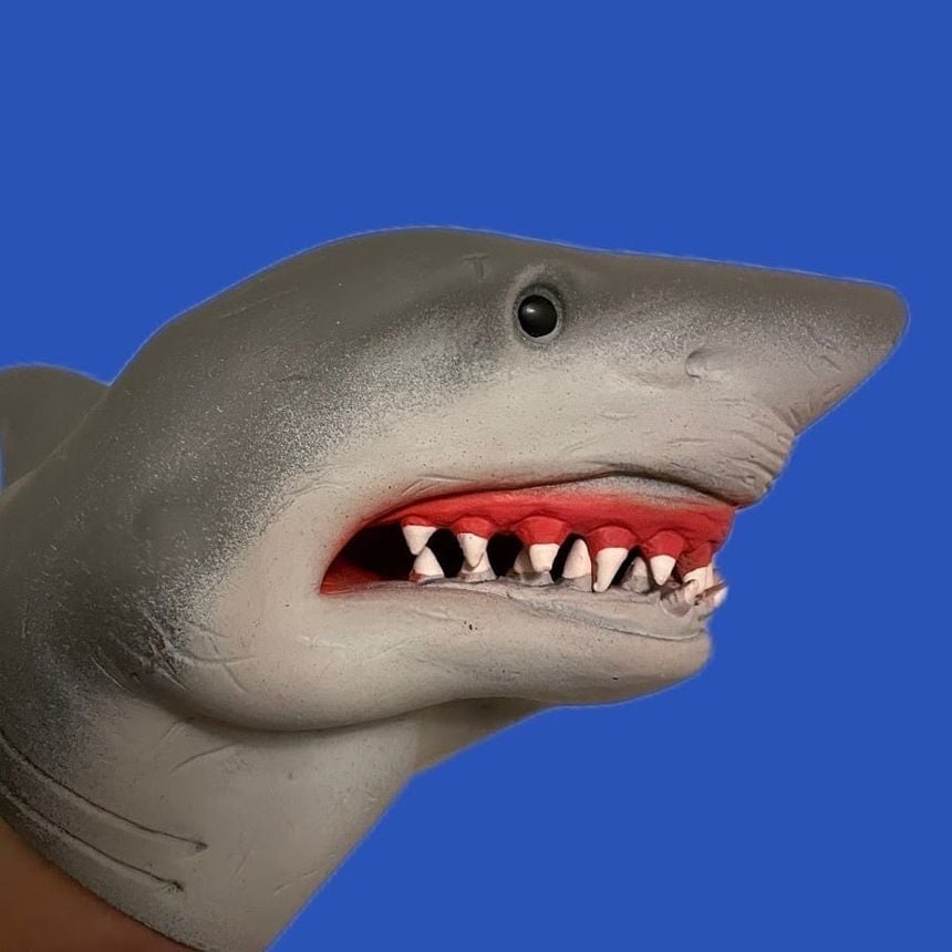 Official Skipper the shark!