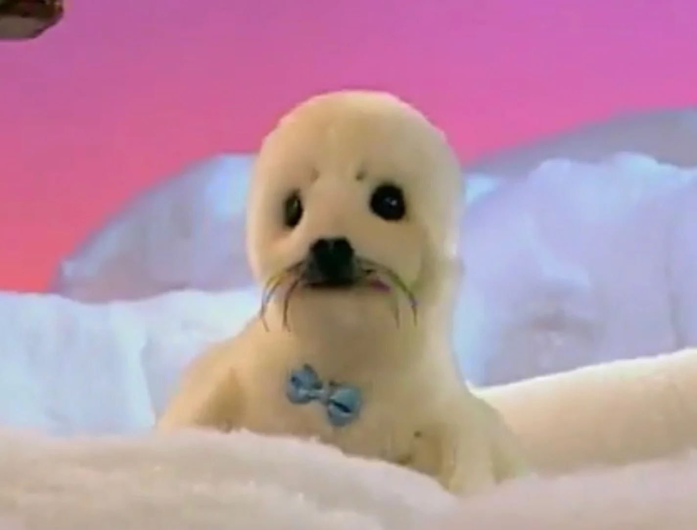 Snowball (Igloo-Gloo)