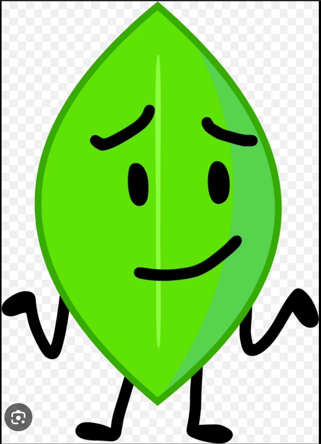 Leafy (BFDI/BFB)