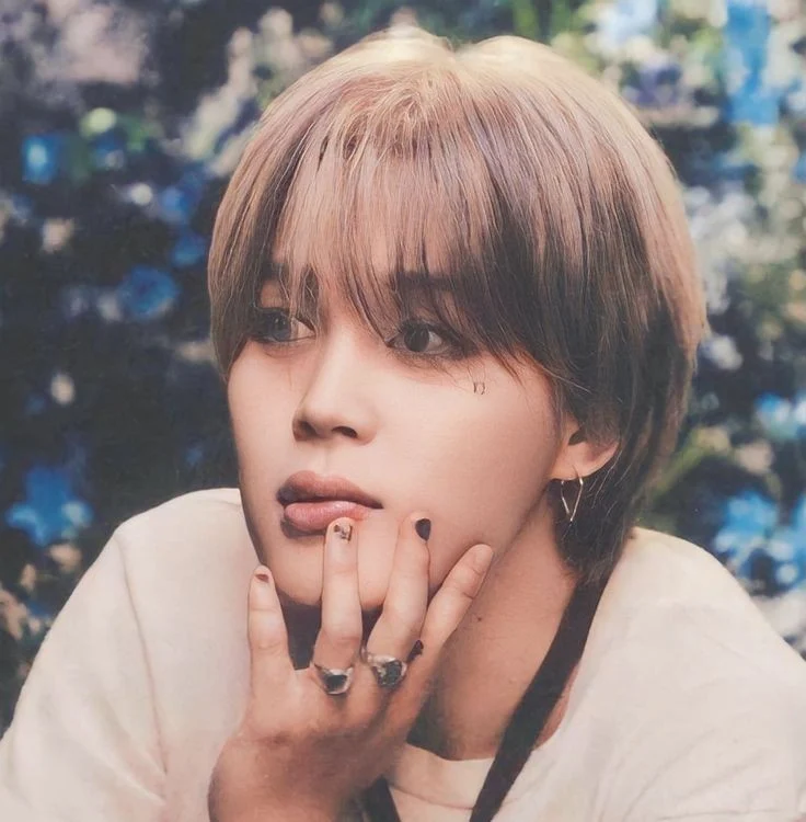 JIMIN (BTS) (KLM 4.9 HIFIGAN) VERSION 2.1