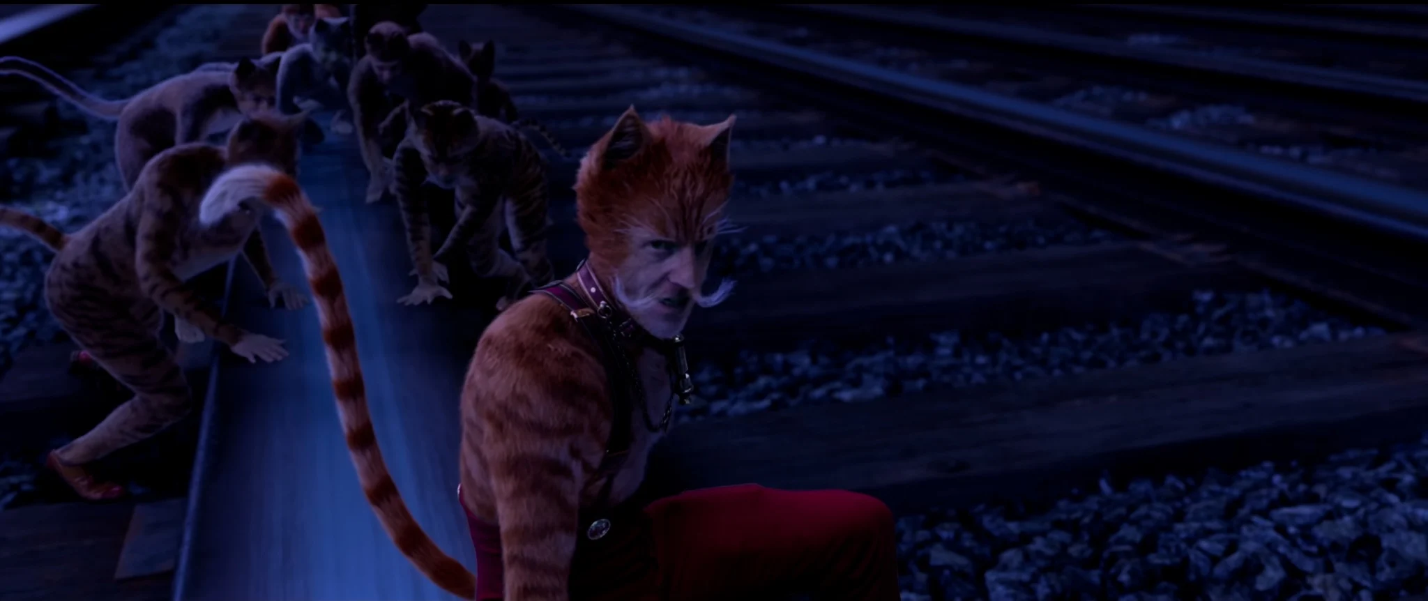 Skimbleshanks (cats 2019)
