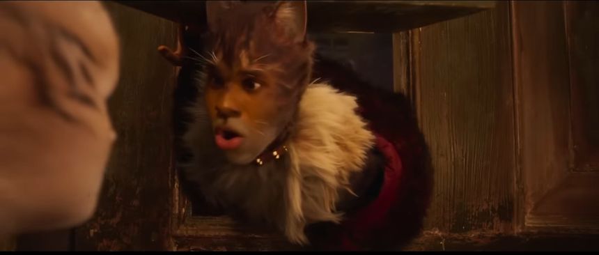 Rum tum tugger (cats 2019)