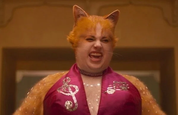 Jennyanydots (cats 2019)